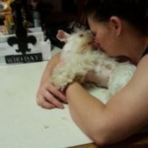 Person hugging a fluffy white dog across a table in a dim indoor setting