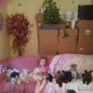 Stuffed animals lined on a bed with a doll, against a wall with boxes and plants in the background