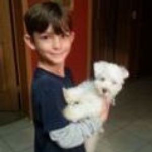 Boy holding two small white fluffy dogs indoors
