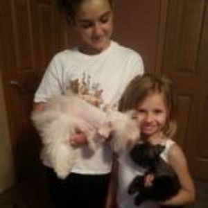 Two children indoors holding fluffy white and black dogs, smiling at the camera.