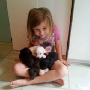 Child sitting on the floor holding three small puppies, smiling indoors