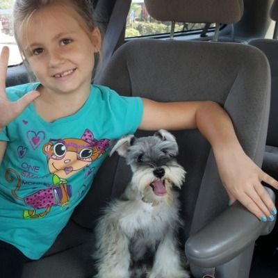 Smiling child in a teal shirt poses with a small black-and-white dog in a car seat