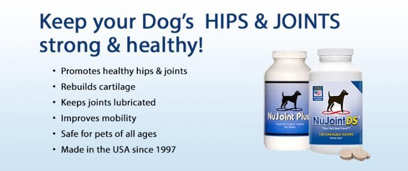 Dog joint supplement ad with two blue bottles and the text “Keep your Dog’s HIPS & JOINTS strong & healthy!”