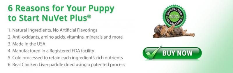 6 reasons your puppy starts new vet plans; green text with BUY NOW button and seal on right