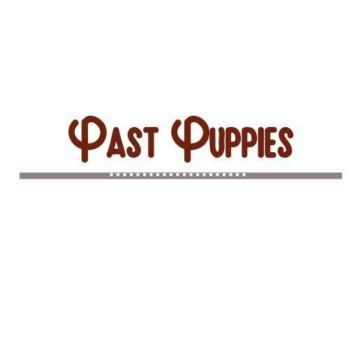 Brown “Past Puppies” text above a gray horizontal line on a white background