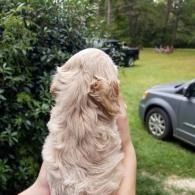 Small cream-colored dog being held outdoors on a grassy lawn near a parked car.