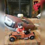 Small dog in a red sweater sitting near a toy car on a tiled patio with a brick wall behind it