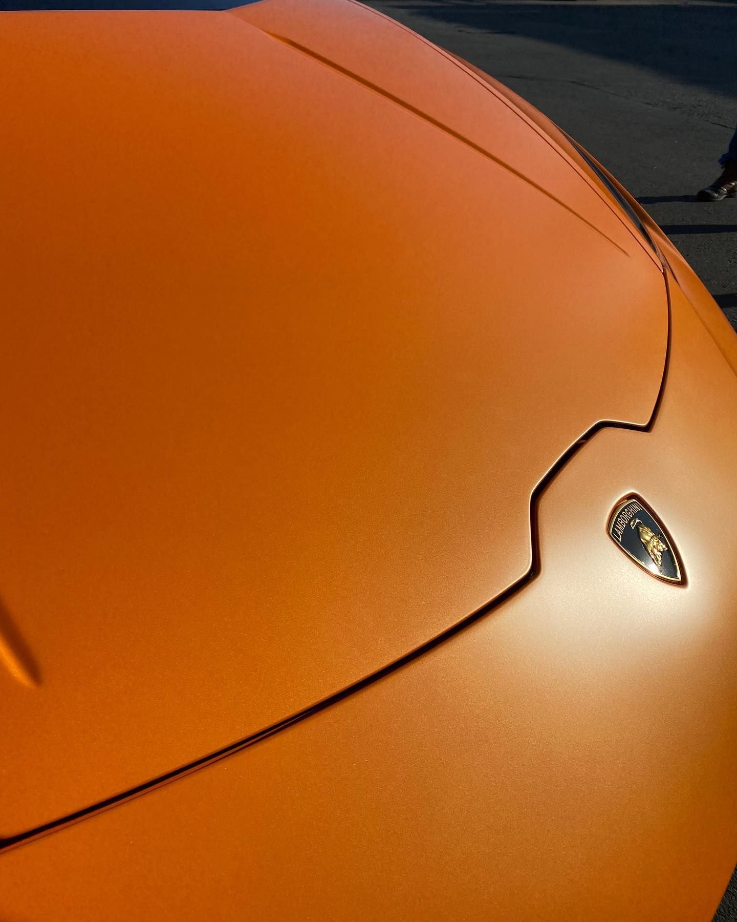 Close-up of an orange Lamborghini hood with the emblem visible.