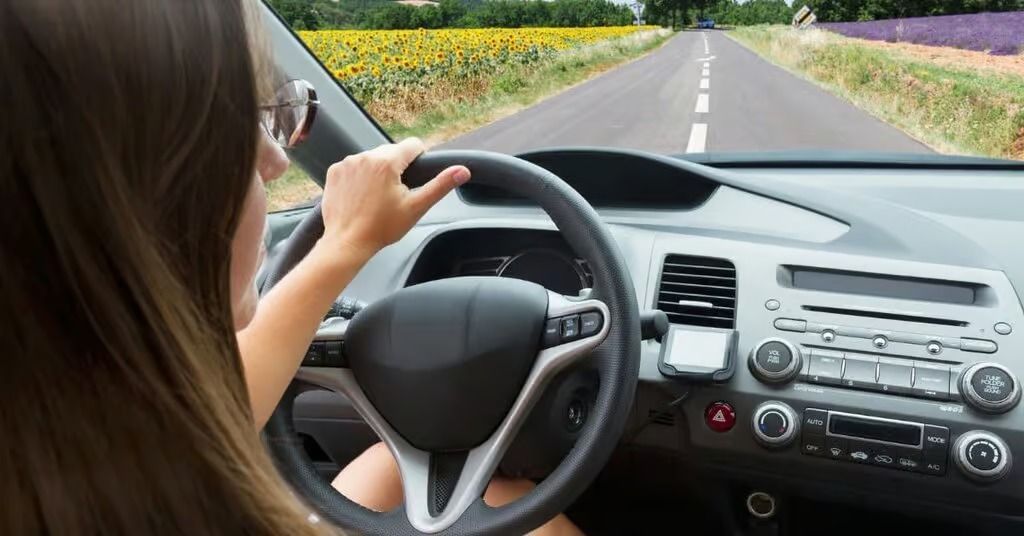 Driver holding steering wheel inside a car on a rural road lined with yellow flowers