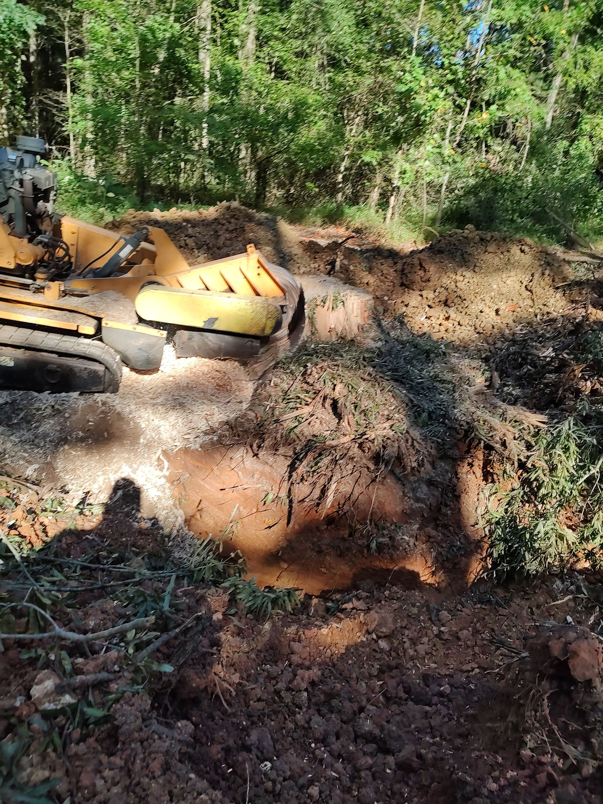Yellow excavator digging muddy soil in a wooded area