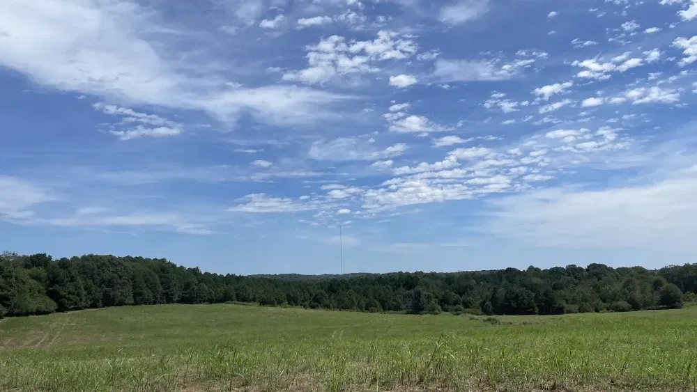 Field of Dreams at Kawonu