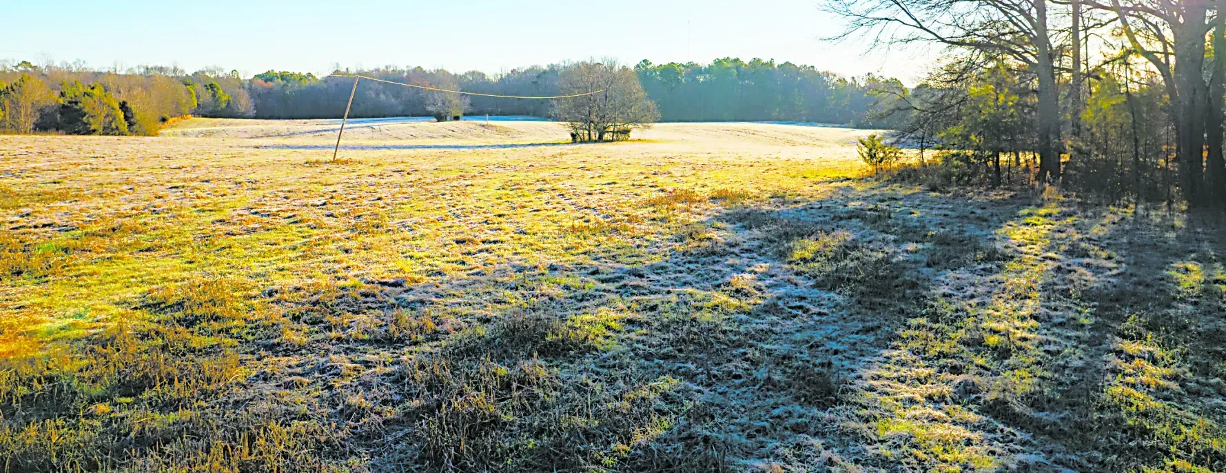 Future location of Kawonu Golf Club's clubhouse