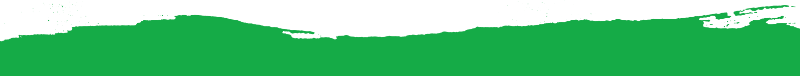 Green paint stroke across a white background