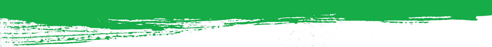 Green paint brush stroke across white background with rough edges