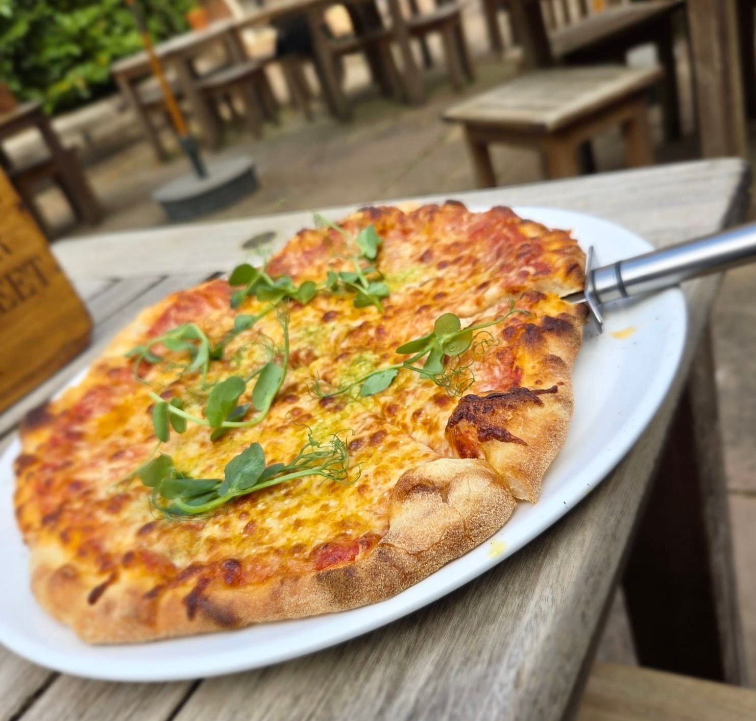 Cheese pizza with fresh basil on a white plate at an outdoor table