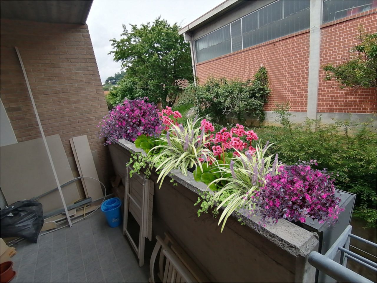 Giardino sul balcone con petunie rosa e viola, fogliame verde e bianco e uno sfondo di un edificio in mattoni.