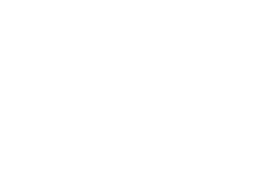 A blank white image.