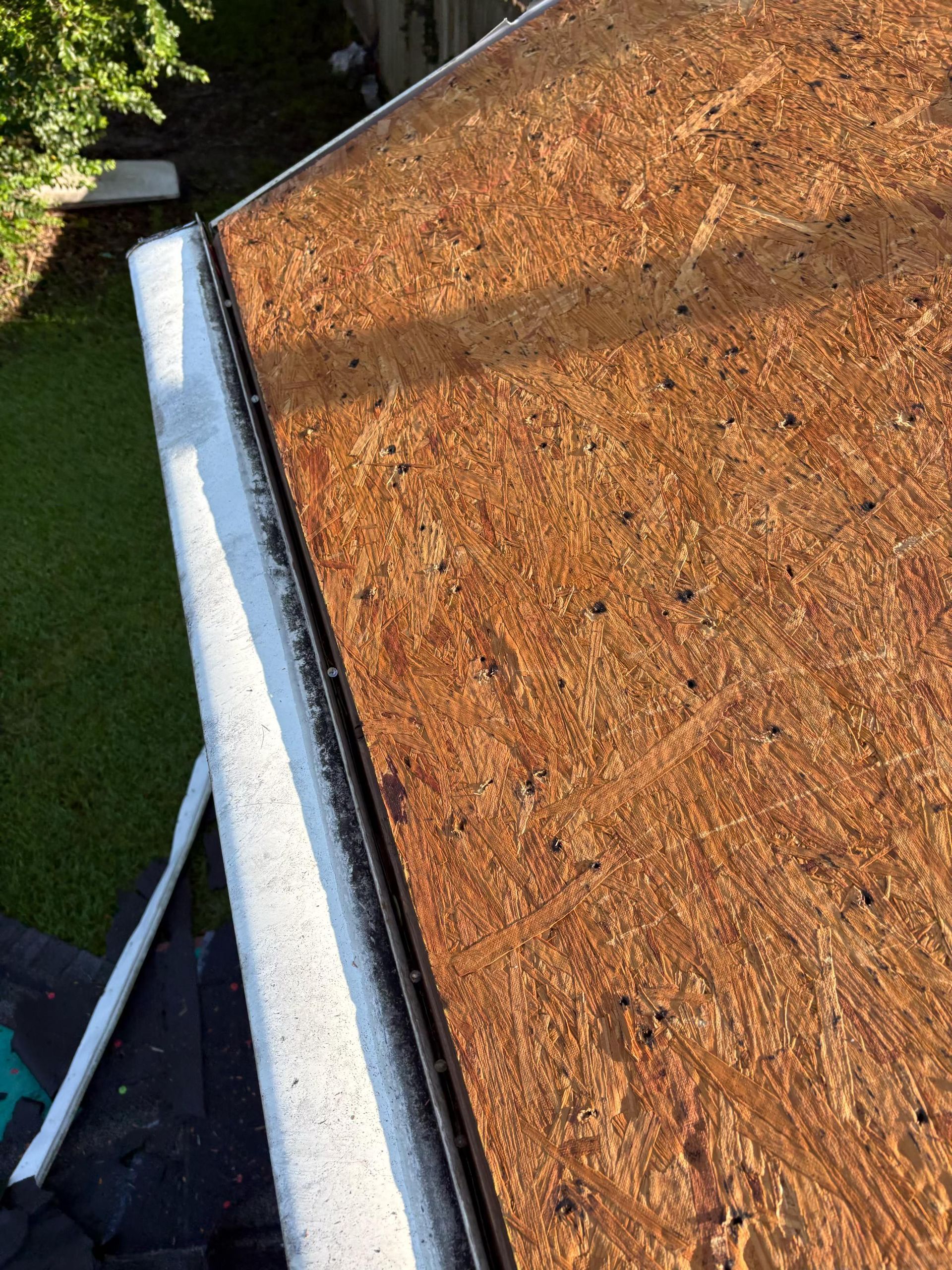 A Hollywood, SC homeowner at a kitchen table comparing two roofing estimates while a Charleston Roofs and Windows inspection manager shows tablet photos of a cracked pipe boot, a limb puncture and lifted shingles from the roof. Through the window, a long gravel drive leads to SC 162. The image represents honest roof inspections in Hollywood, SC, with photos before any price and a W2 project manager assigned to the job.