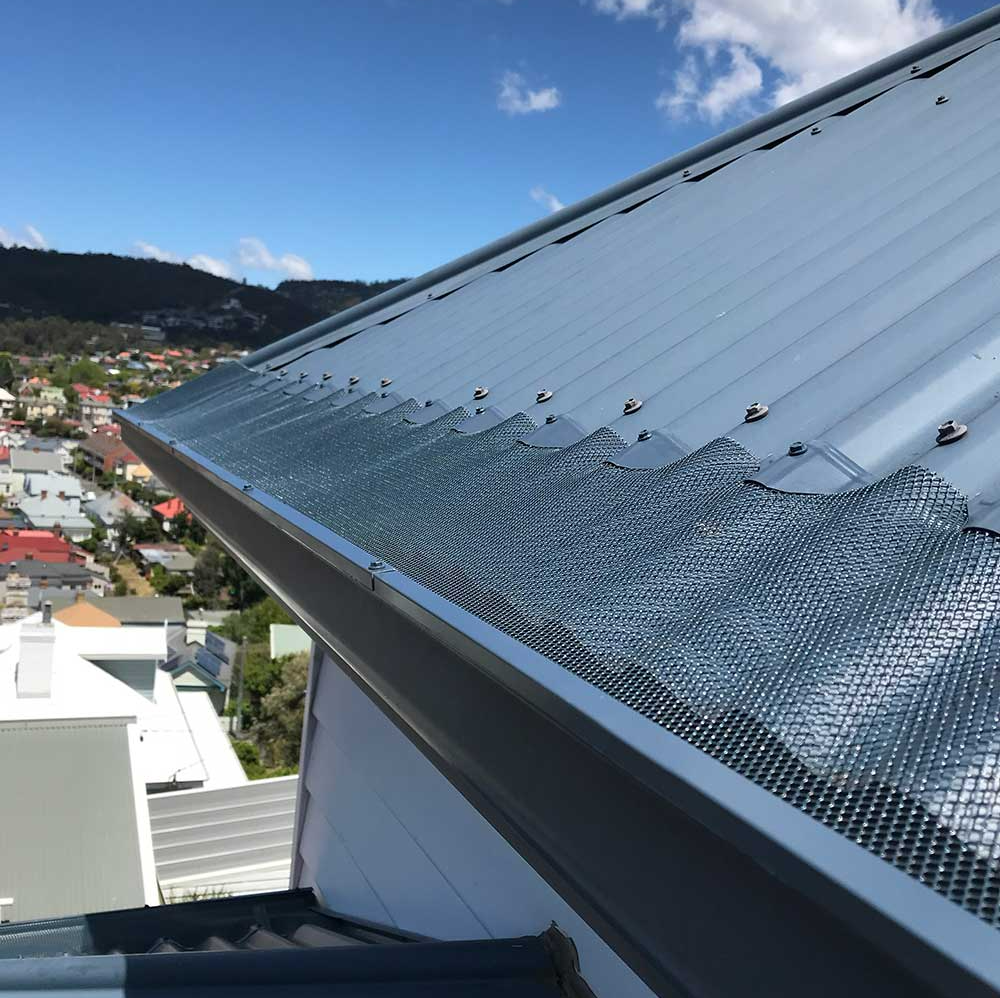 How to Bird Proof Your Gutters Bird Gutter Guard