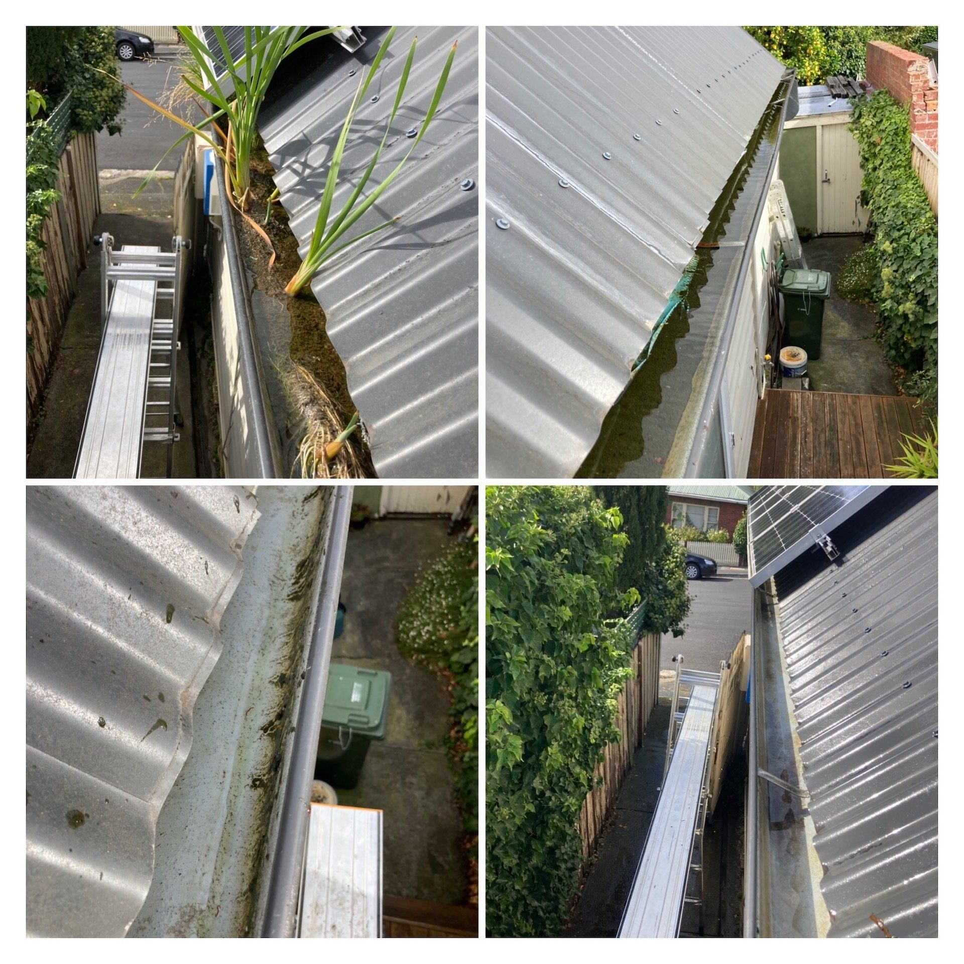 gutter cleaning hobart