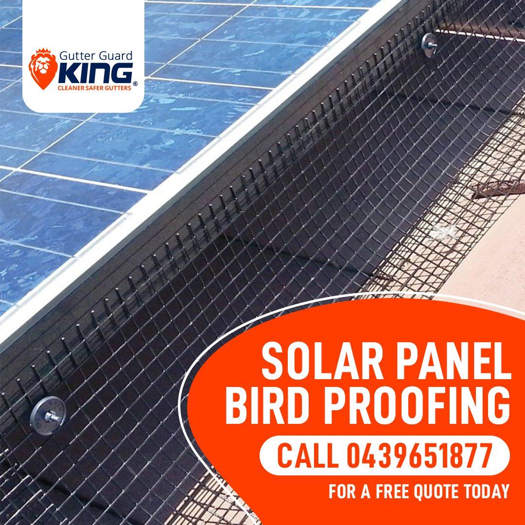 Protect Your Solar Panels A sign that says solar panel bird proofing on it