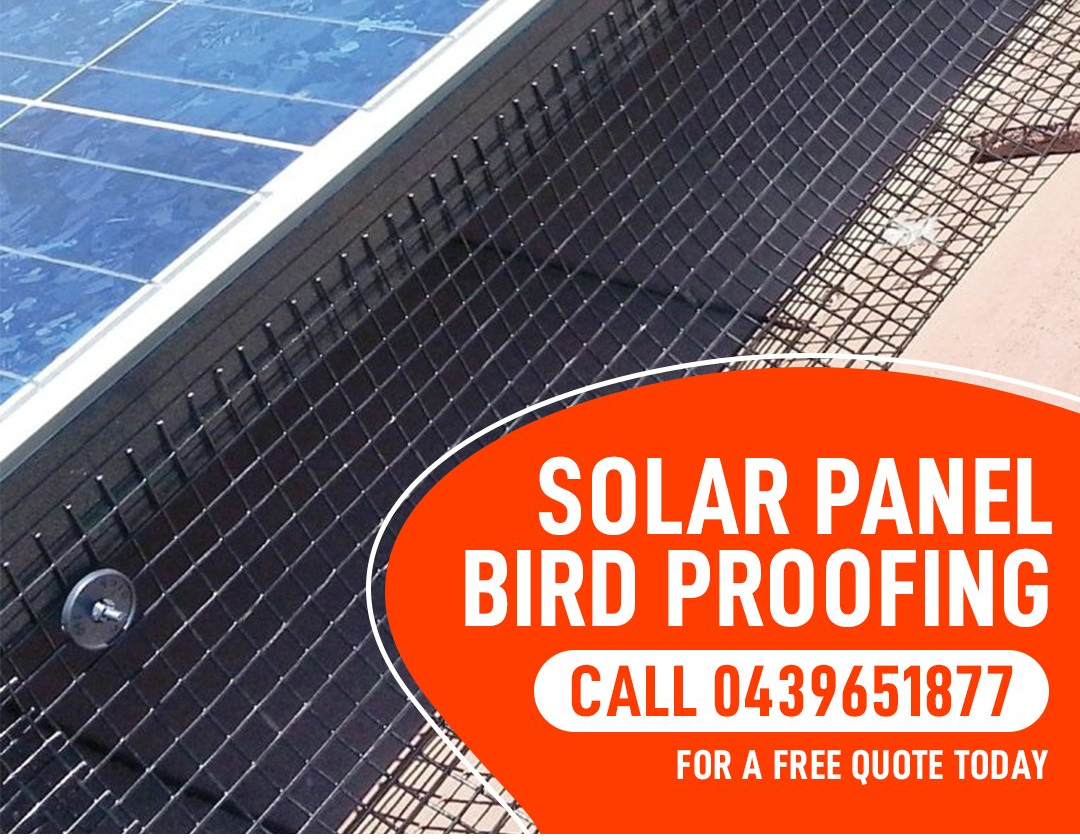 Protect Your Solar Panels A sign that says solar panel bird proofing on it