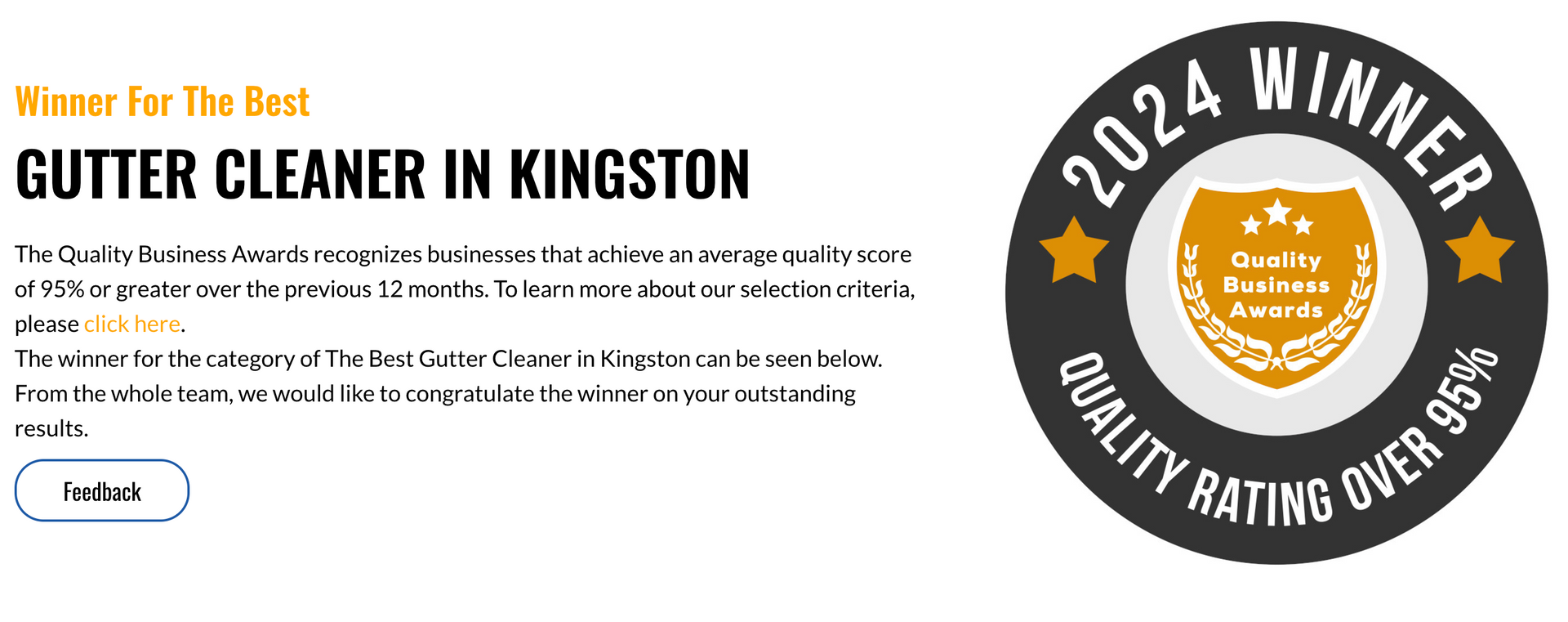 A gutter cleaner in kingston is a 2024 winner
