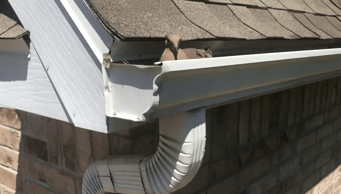 A white gutter is sitting on the side of a brick building.