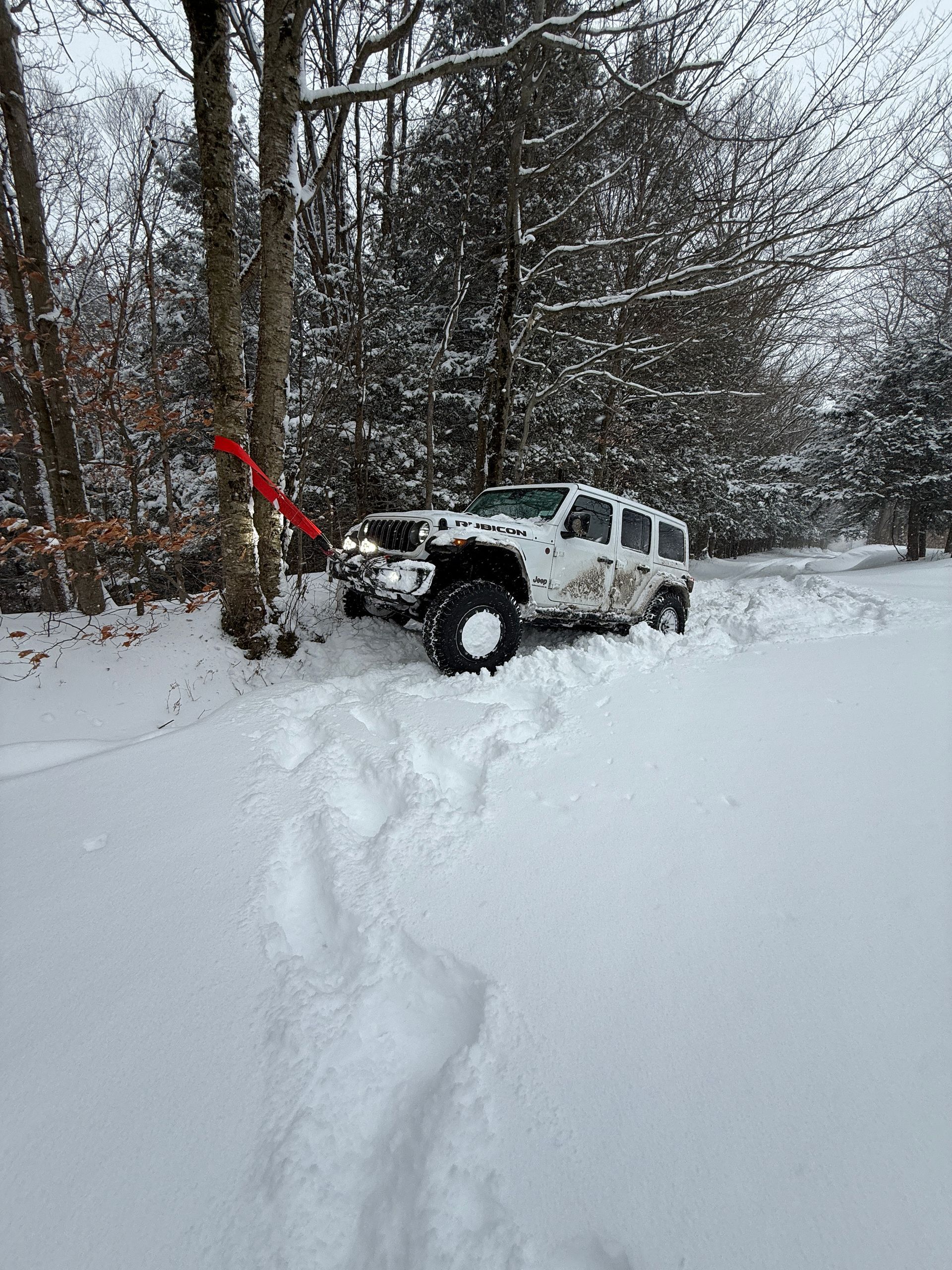 A white Jeep is stuck in deep snow next to a tree, connected by a red winch line in a wintry forest.