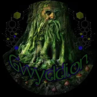 Gwyddion