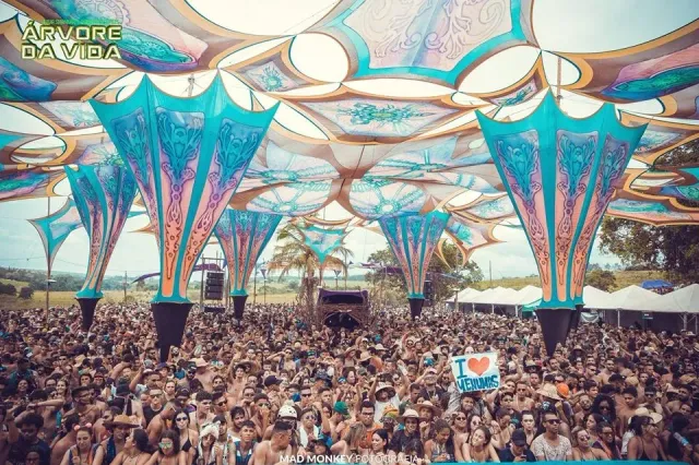 Árvore da Vida 2019 - Florescer