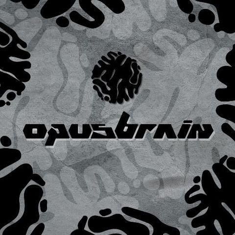 DJ SET FOREST - OPUS MAGNUM
