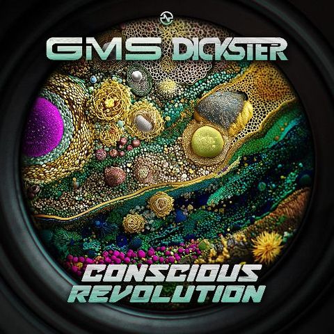 Conscious Revolution