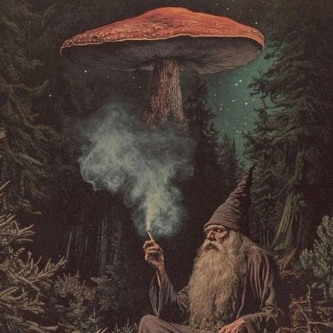 Pedro Crizel (DJSET) - Forest Psytrance // dezembro 2025