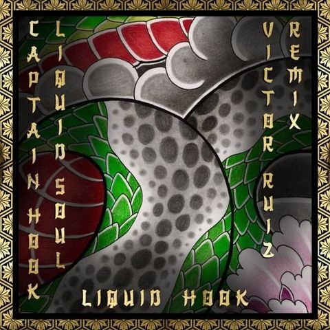 Captain Hook & Liquid Soul -  Liquid Hook (victor Ruiz remix) [sample]