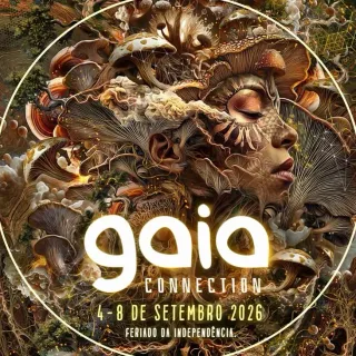 Gaia Connection