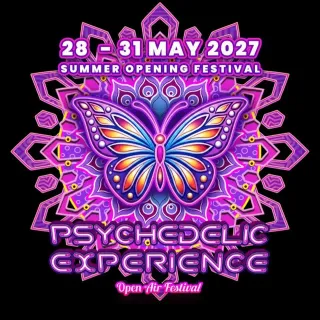 Psychedelic Experience