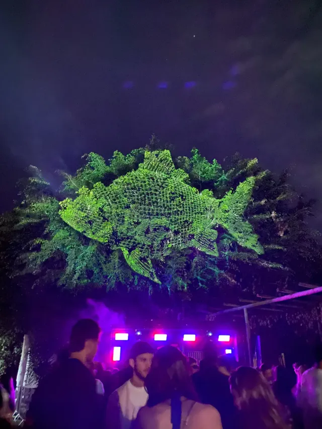 Gusta Visuals: foto 1
