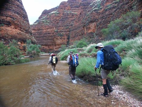 Walking up Piccaninny Creek in the Wet