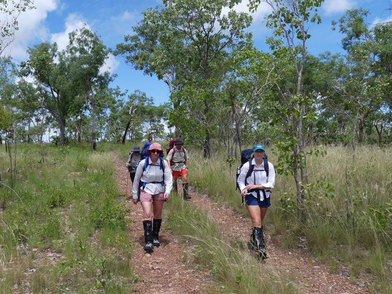 Litchfield. The last part of our wet season bushwalk in on a park track.