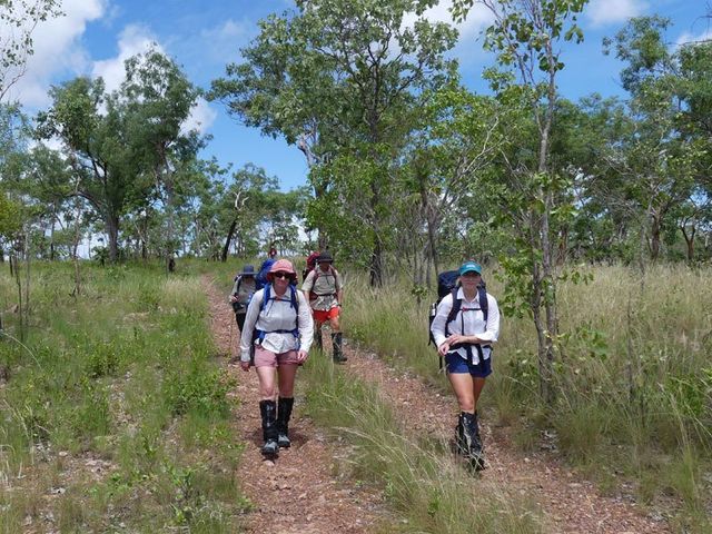 Litchfield. The last part of our wet season bushwalk in on a park track.