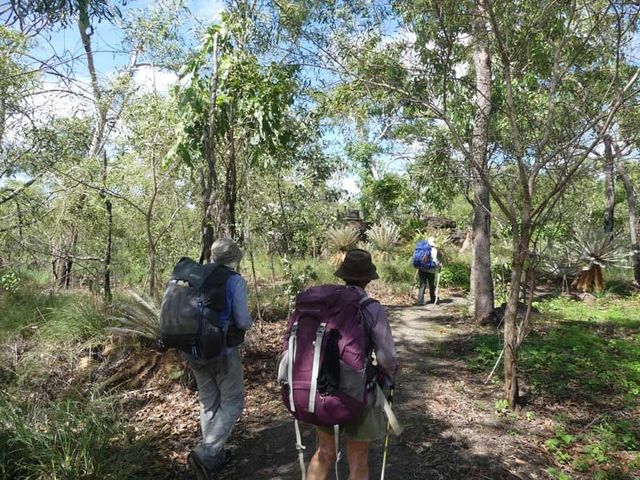 Litchfield, Tolmer walking track, early wet season