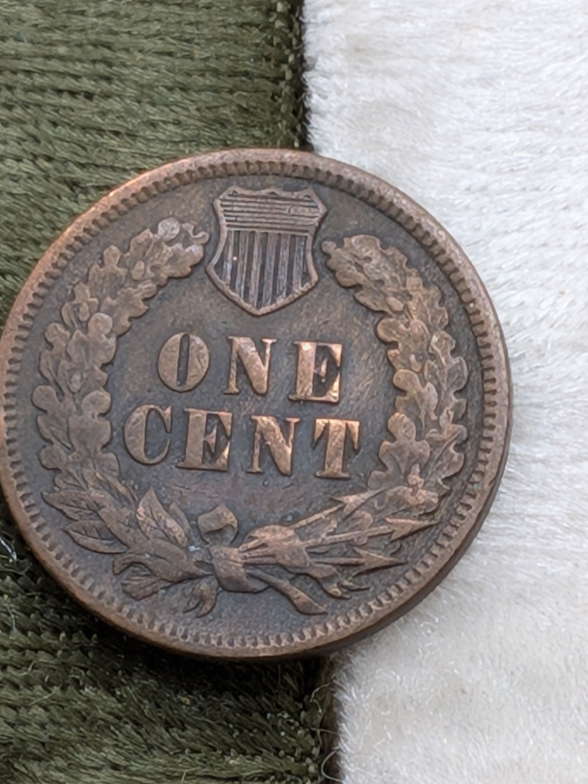 1906 Indian Head cent