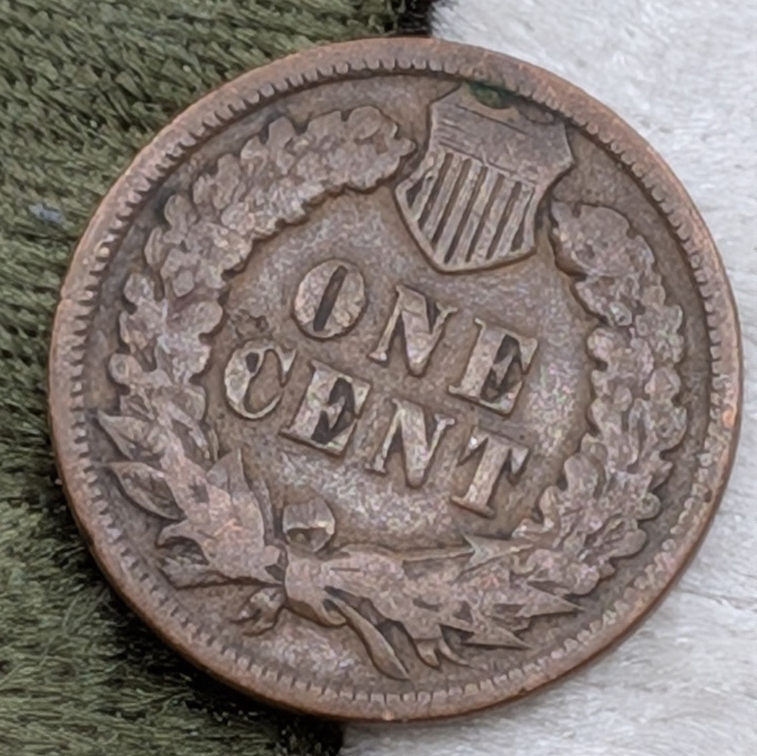 1895 Indian Head cent