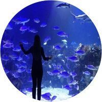 Una mujer está parada frente a un gran acuario lleno de peces.