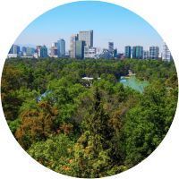 Se ve el horizonte de una ciudad a través de los árboles en un círculo.
