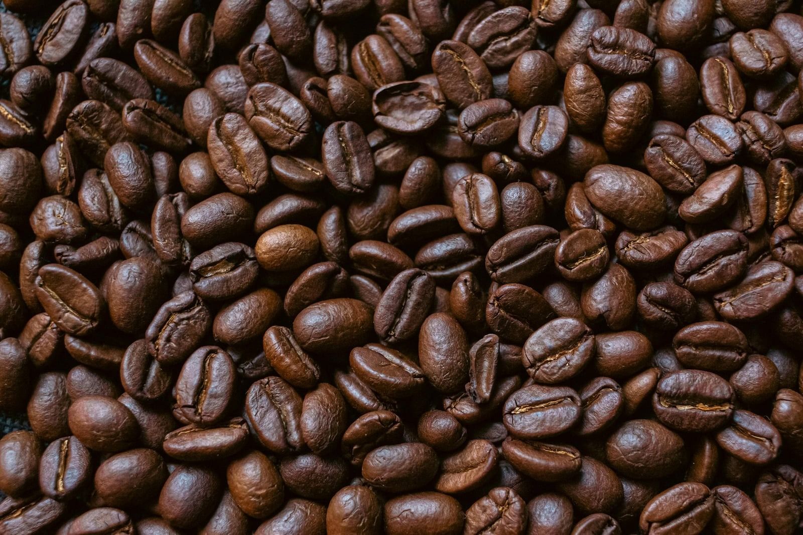 Roasted coffee beans filling the frame, glossy dark brown texture