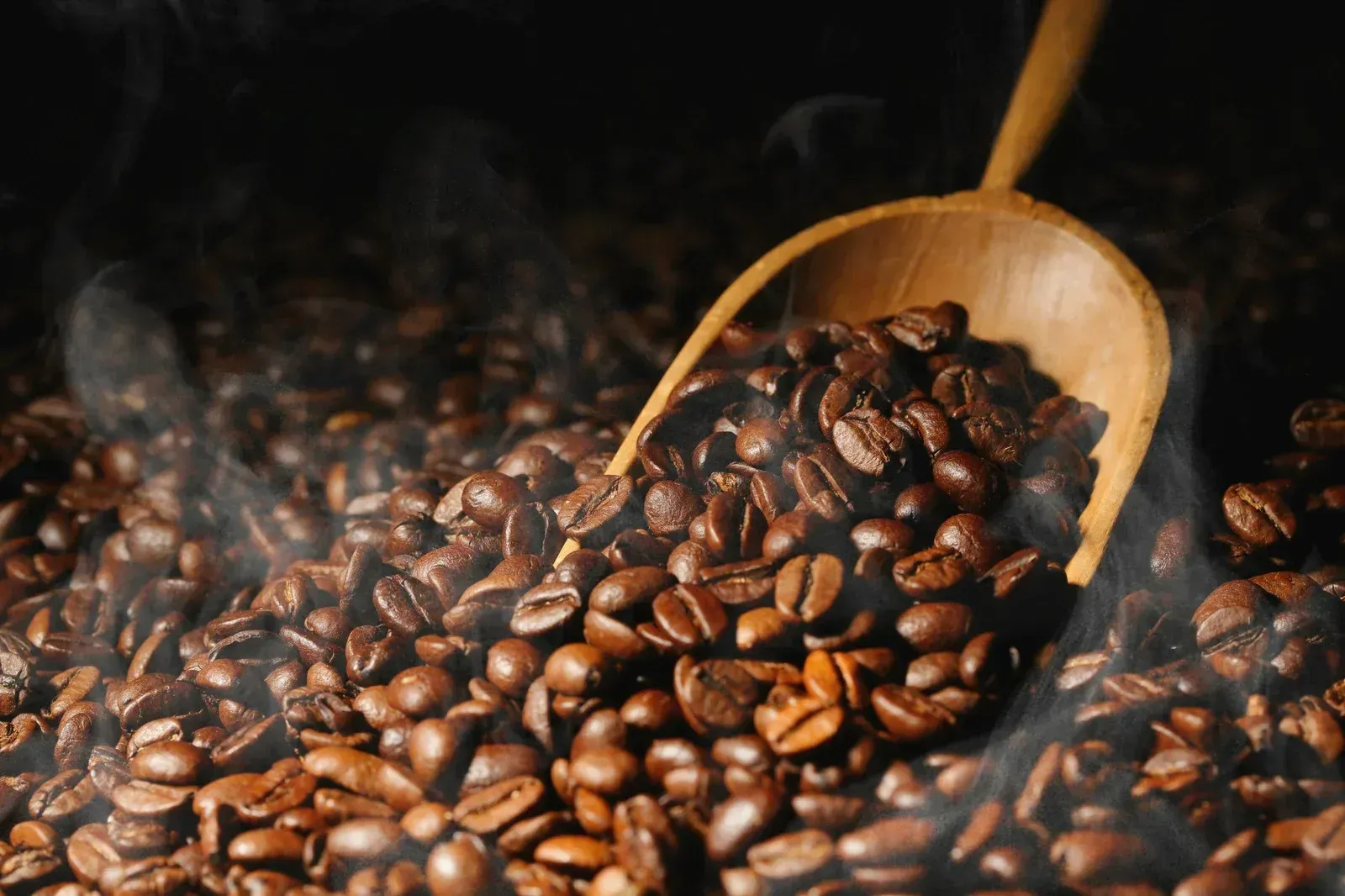 Wooden scoop pouring roasted coffee beans with steam rising against a dark background