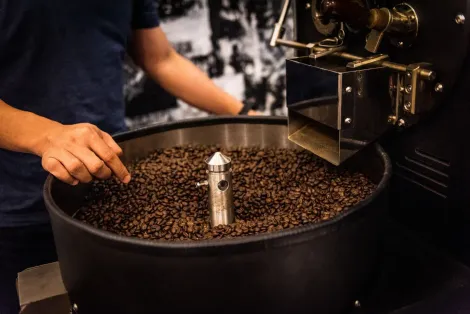 Hands stirring coffee beans in a roasting drum beside a metal machine