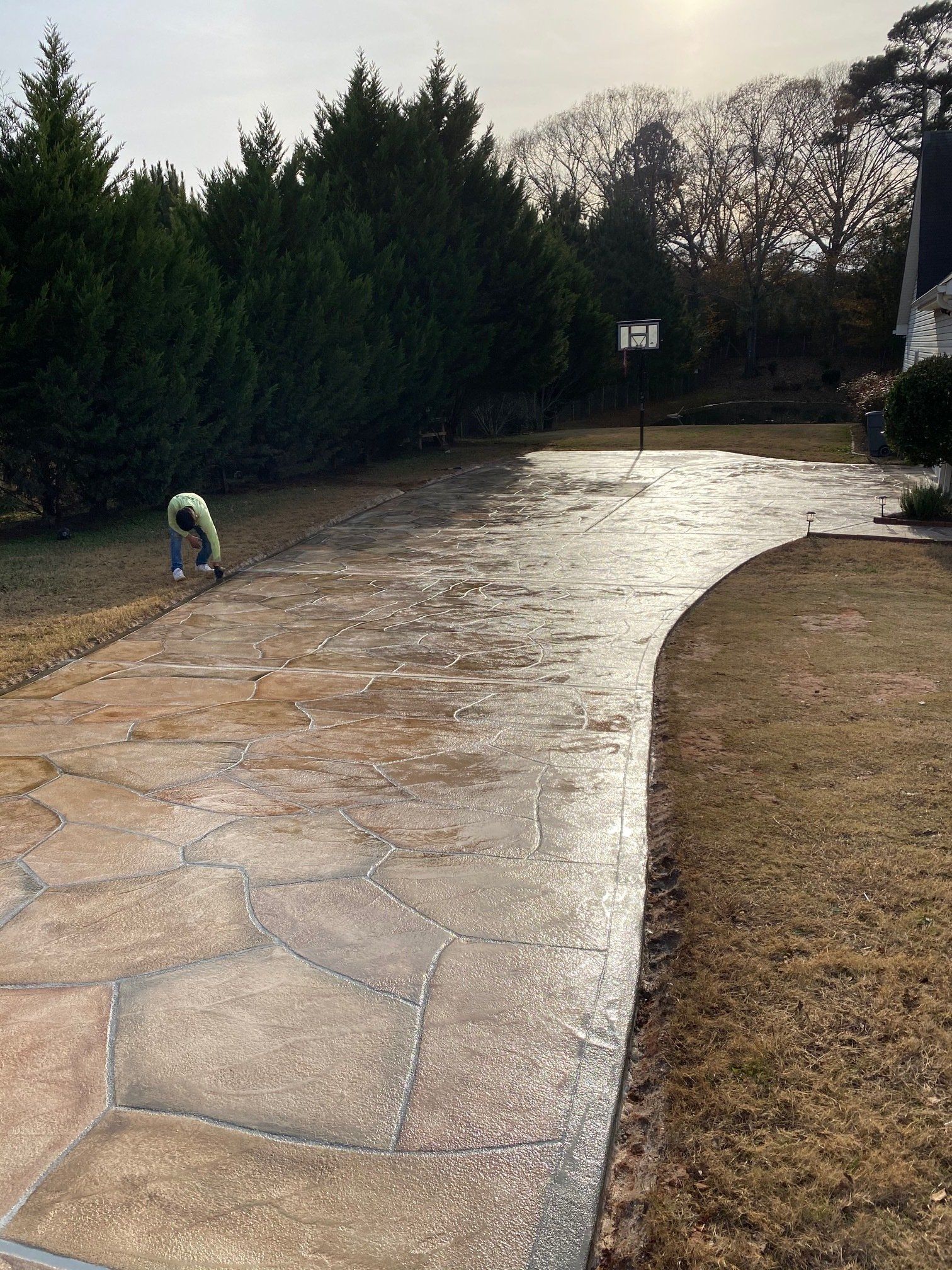 Person bending over on a wet stone driveway beside tall evergreen trees